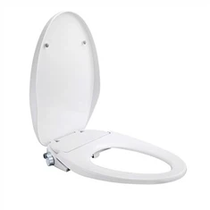 ที่นั่งส้วมแบบสเปรย์